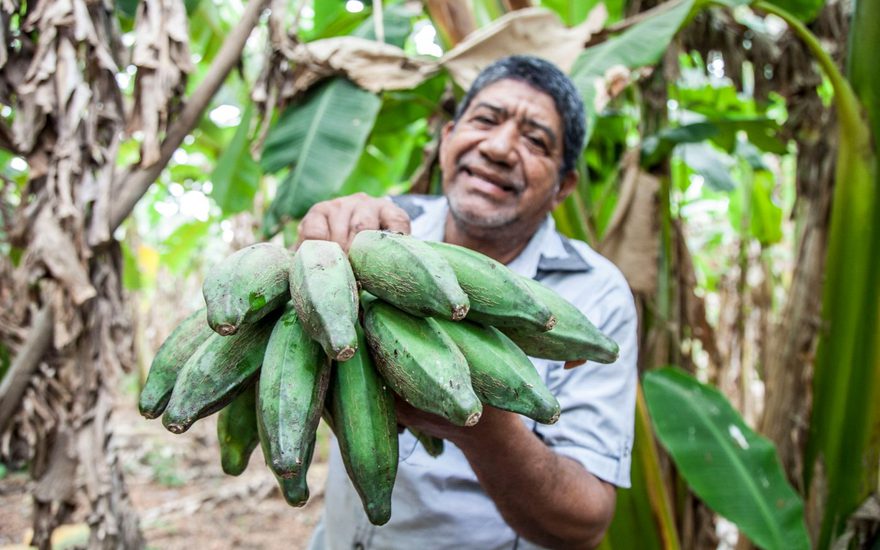 Impulsando oportunidades para el campo